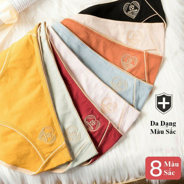 Quần Lót Cotton Sợi Bông Kháng Khuẩn Cao Cấp -CC01 (D)
