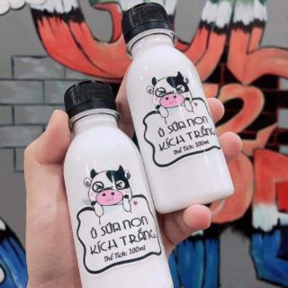 Sữa non cô đặc ( sữa non kích trắng)