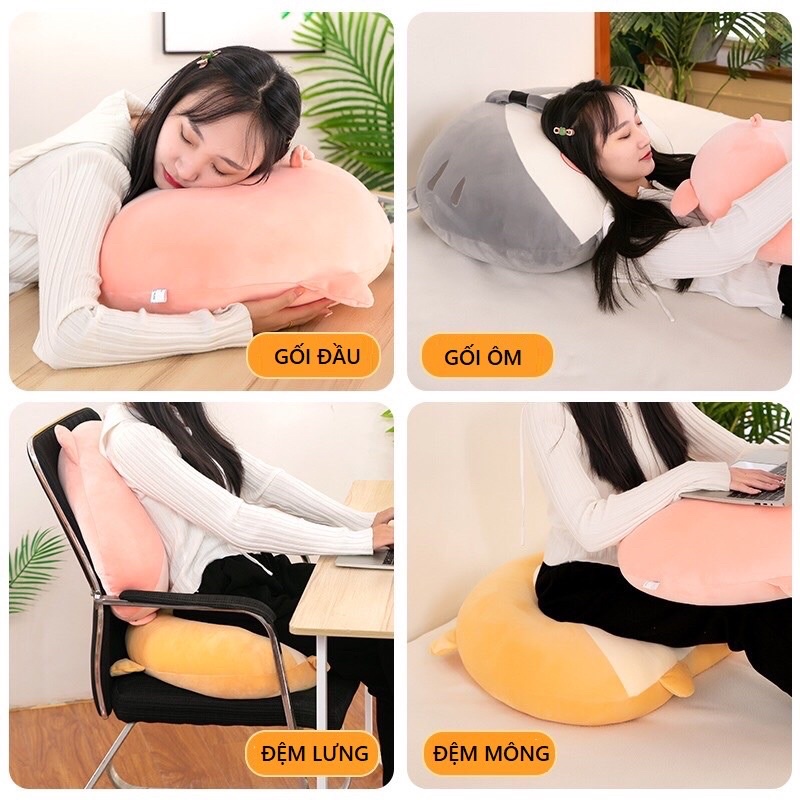 Gấu bông kỳ nhông, Gối ôm gấu bông dễ thương, Quà tặng gấu bông