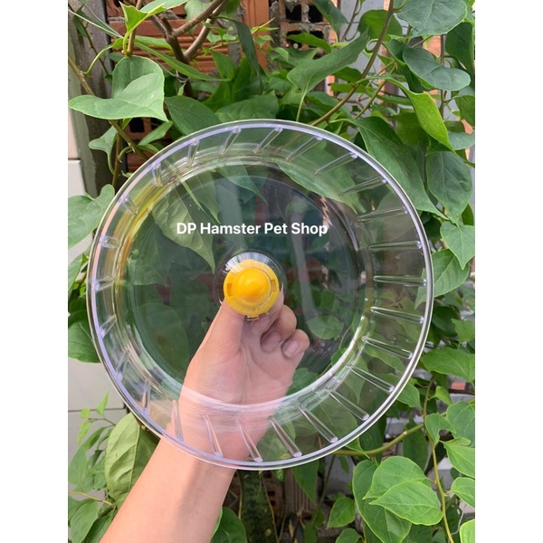 Wheel Cacool mika chạy không đế gắn lồng size 17.5cm