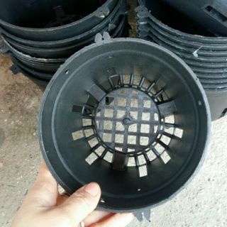 50 chậu trồng lan đen đường kính 18cm