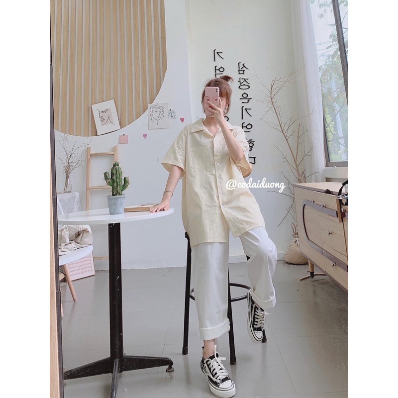 áo sơ mi basic | BigBuy360 - bigbuy360.vn