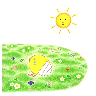 Bocchi Pocchi Giúp Bạn Chim