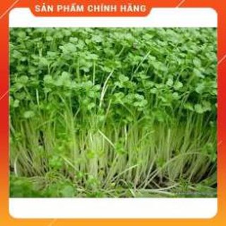 HAT MẦM RAU CẢI NGỌT GÓI 50 GRAM