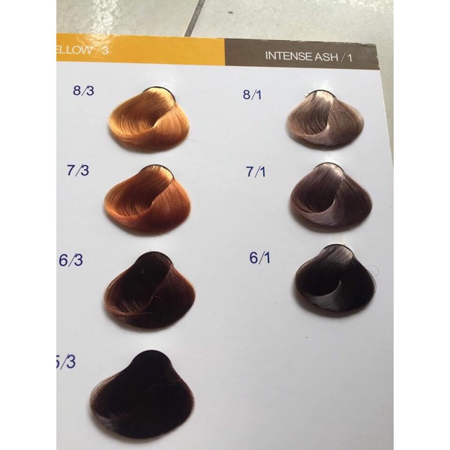 Thuốc nhuộm tóc 55 màu