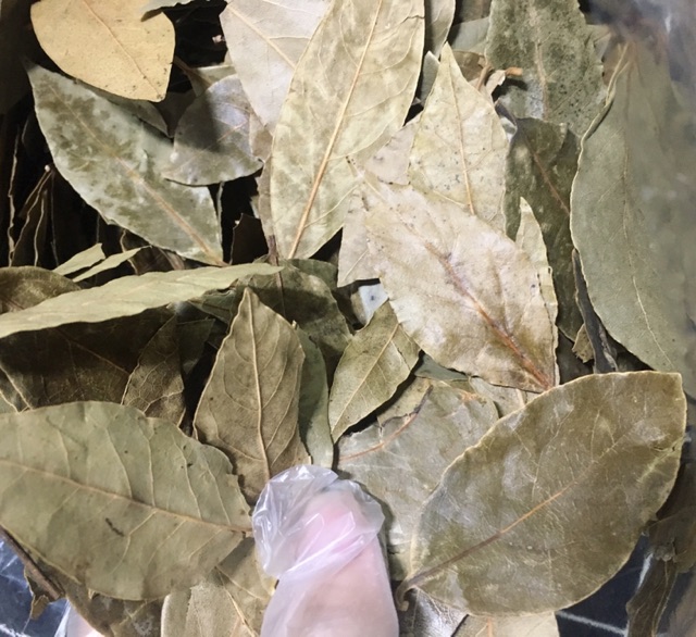 20g lá nguyệt quế - Bay Leaves / Bay Leaf