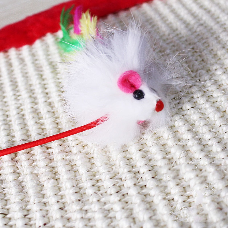 Thảm Cào Móng Sisal Cho Mèo Size 45*30 cm CM003 MIAOCAT