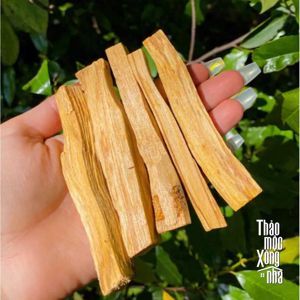 4 THANH PALO SANTO Gỗ Thánh Thanh Tẩy, cải thiện giấc ngủ - THẢO MỘC XÔNG NHÀ