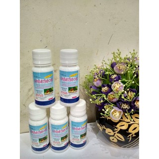 THUỐC DIỆT MUỖI PERMETHRIN 50EC - 50ML