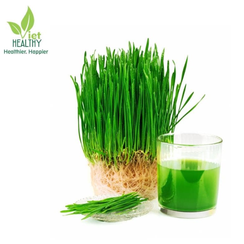 Sức khỏe Gia Đình Viet Healthy, Cửa hàng trực tuyến | BigBuy360 - bigbuy360.vn