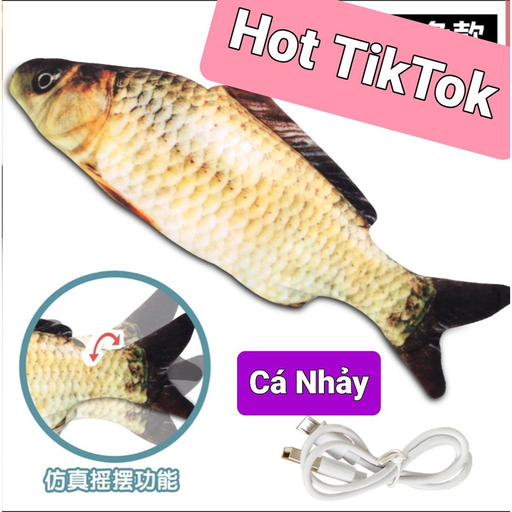 Con Cá Nhảy Đồ Chơi Hot TikTok, Con cá nhảy đồ chơi trẻ em