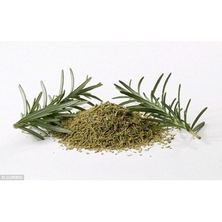 100g Lá hương thảo Rosemary loại 1 hahanshop1519- lá sấy khô