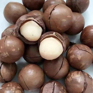 500gr mắc ca đắk lắk sấy nứt vỏ