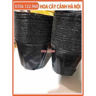 0,5kg túi bầu ươm cây nhựa dẻo size 26x21 (miệng 23cm,cao19cm, đáy 16cm)