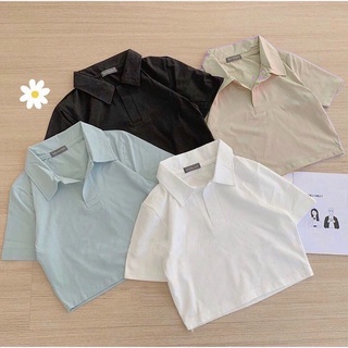 (Video thật) Áo Croptop Cổ Trụ Bẻ Trơn