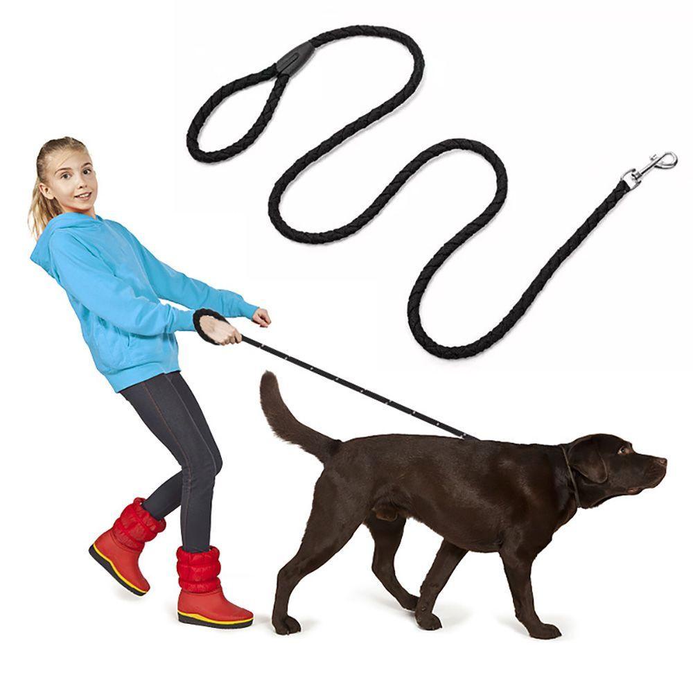 Dây Dắt Thú Cưng Đi Dạo Mềm Mại Nhiều Kích Cỡ Tiện Dụng