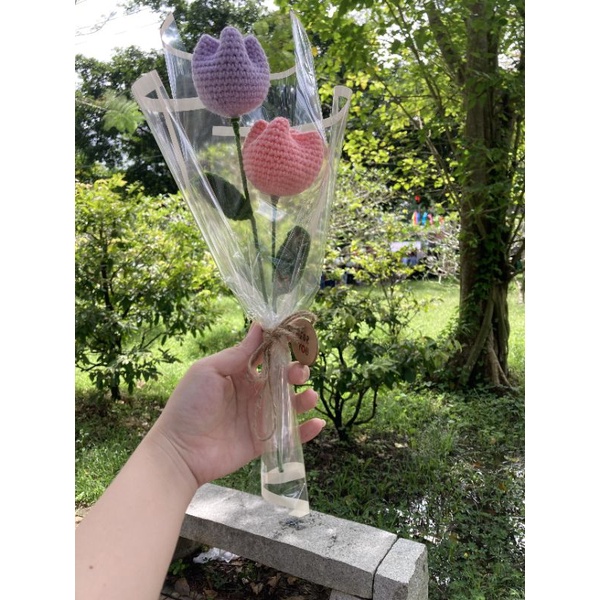 HOA TULIP LEN GÓI SẴN