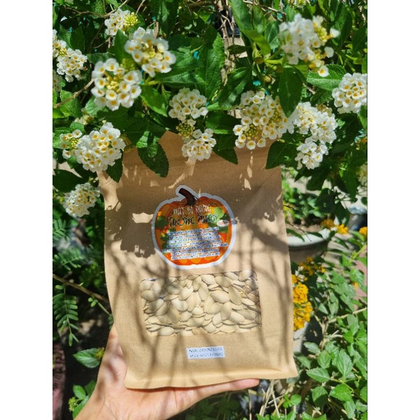Hạt bí rang Trọng Nhân 500gram
