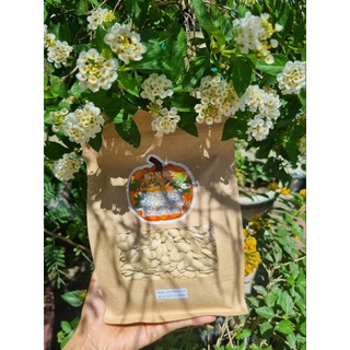 Hạt bí rang Trọng Nhân 500gram