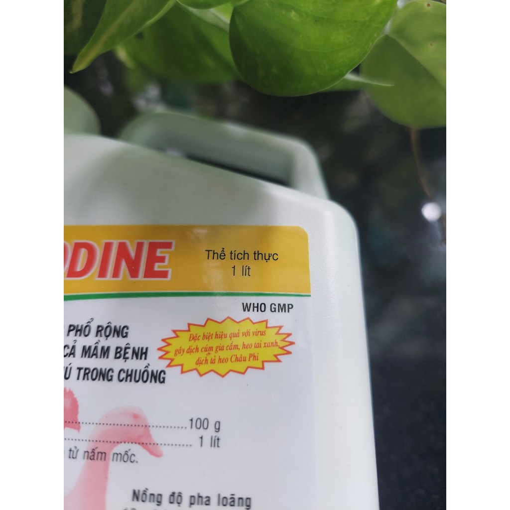 BIODINE 1L