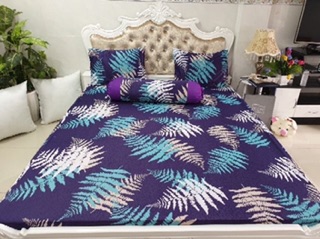 Drap thun Hàn quốc