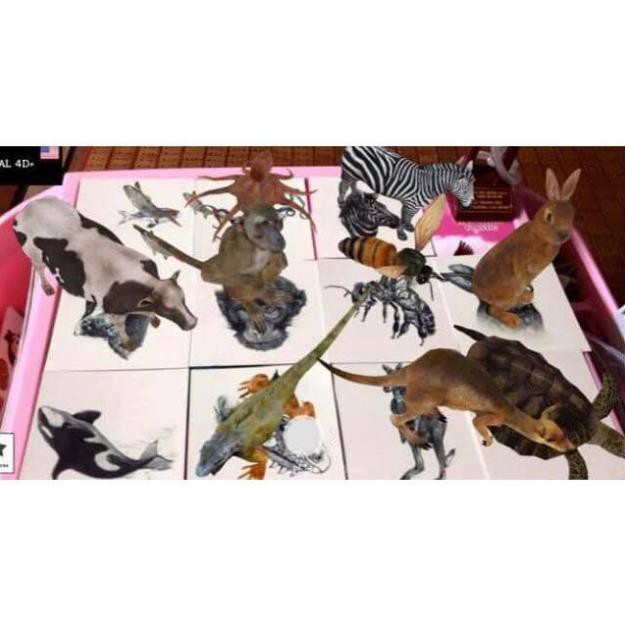 Bộ thẻ 31 Animal 4D