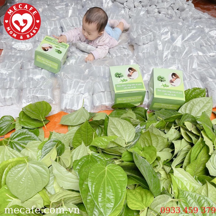 Lá TRẦU KHÔNG khô và thảo dược xông vùng kín sau sinh (9 lần xông)