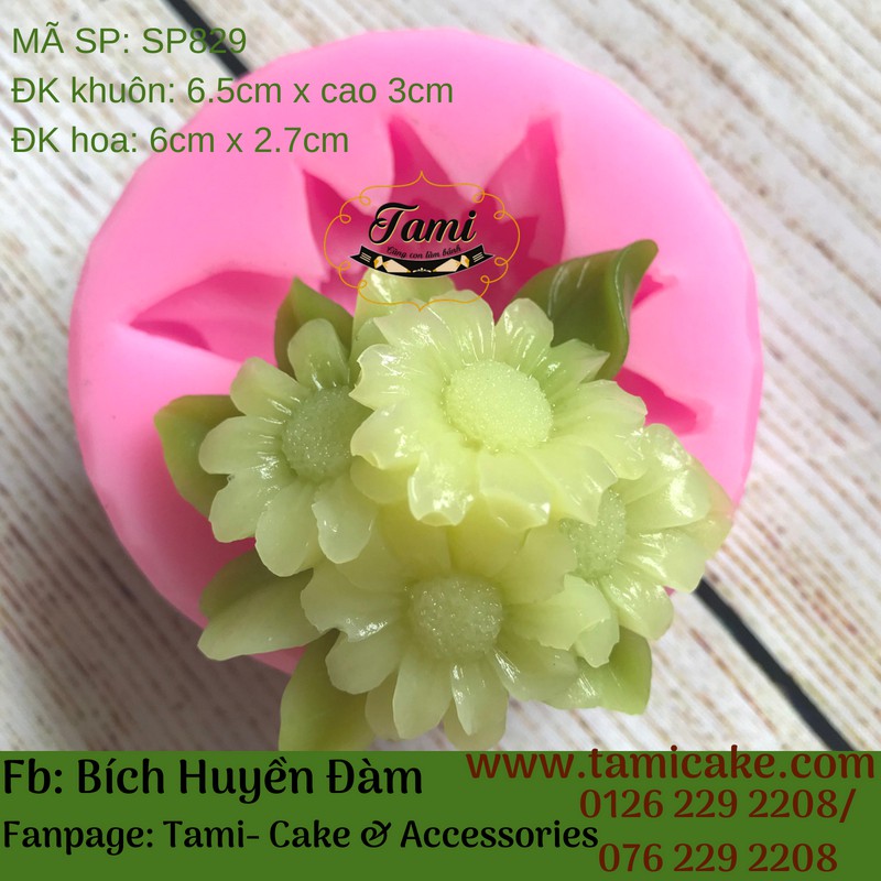 Khuôn silicon rau câu hoa nổi- Cúc Họa Mi | BigBuy360 - bigbuy360.vn