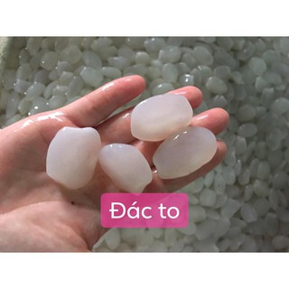 Hạt Đác Tươi - Đặc Sản Nha Trang - Loại To