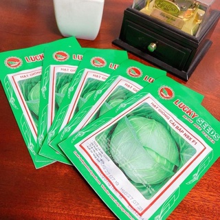 hạt giống cải bắp lucky 1g