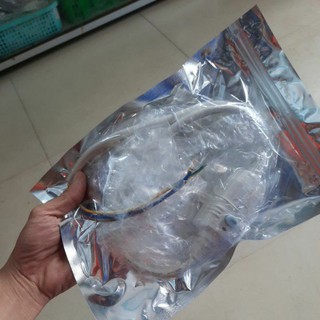 Dây chống giật nóng lạnh.