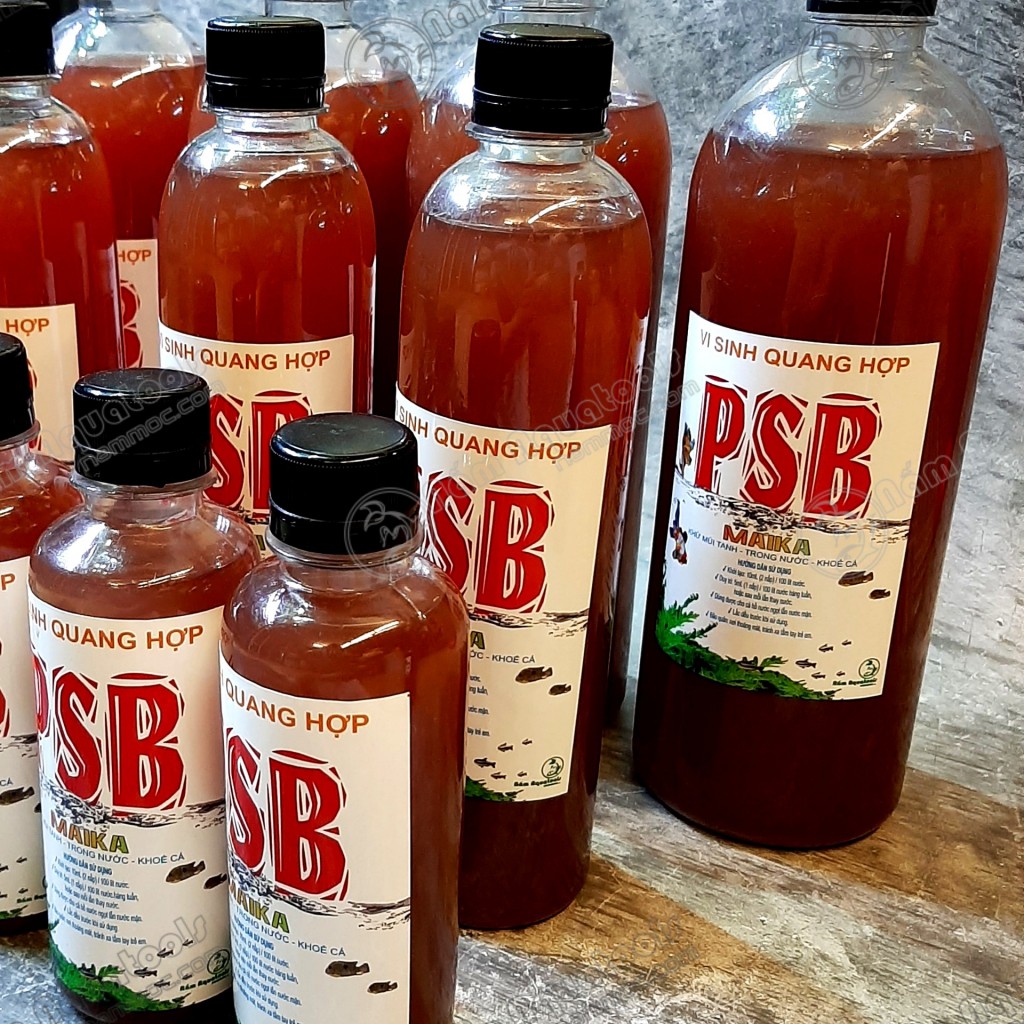 Vi Sinh PSB MAIKA | Vi sinh quang hợp làm sạch nước - Khử mùi tanh - Tạo môi trường có lợi cho cá tép