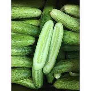 [ Deal 3K ] - 5 hạt giống Dưa chuột nếp ( Hạt giống Thanh Tâm )