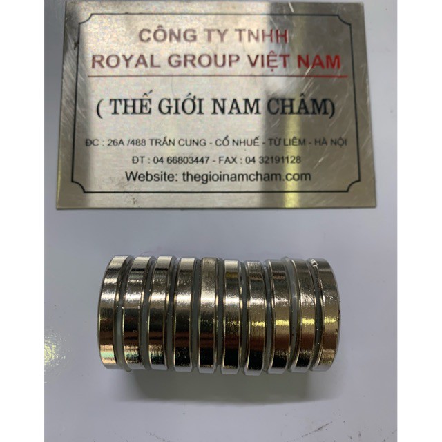 Nam châm đất hiếm 30x5mm, nam châm trắng