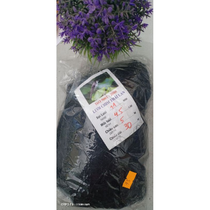 Lưới Bẫy Chim Tàng Hình  Thái Lan 30m mắt 4 li - lưới bẫy chim siêu dính