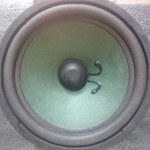 Loa Bass rời 25cm