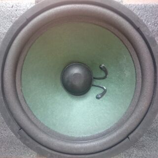 Loa Bass rời 25cm