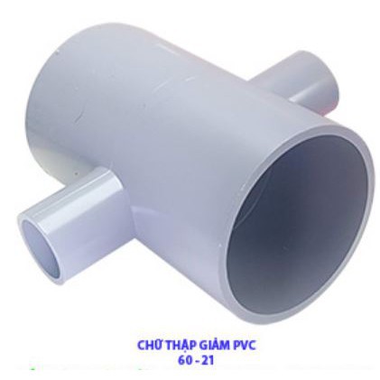 CHỮ THẬP GIẢM 60 - 21