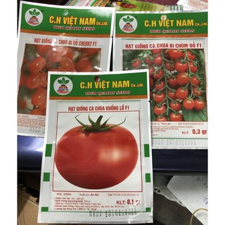Hạt giống Cà Chua F1 🌱