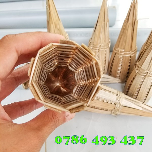 Combo 10 Hom Lươn đẹp chuẩn, giao hàng toàn quốc 24/7