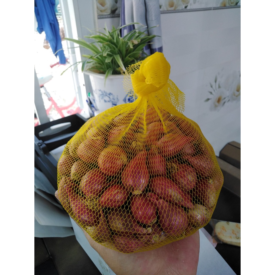 Hành tím Phan Rang củ dài được trồng trên cát, bảo quản được lâu