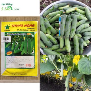 DƯA LEO F1 221 (1gr) TRUNG NÔNG