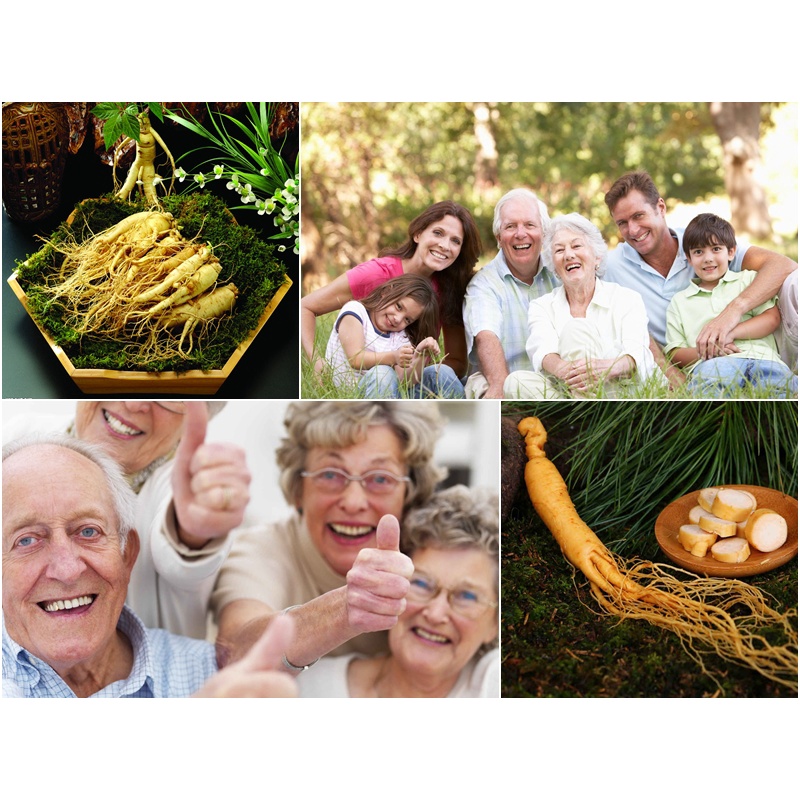 Kẹo Sâm Hàn Quốc Red Ginseng Không Đường Túi 500Gr