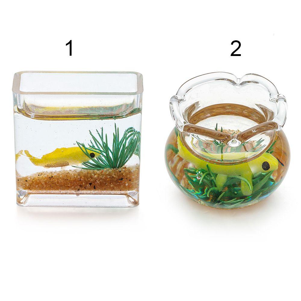 Bể Cá Mini Bằng Kính Màu Cầu Vồng