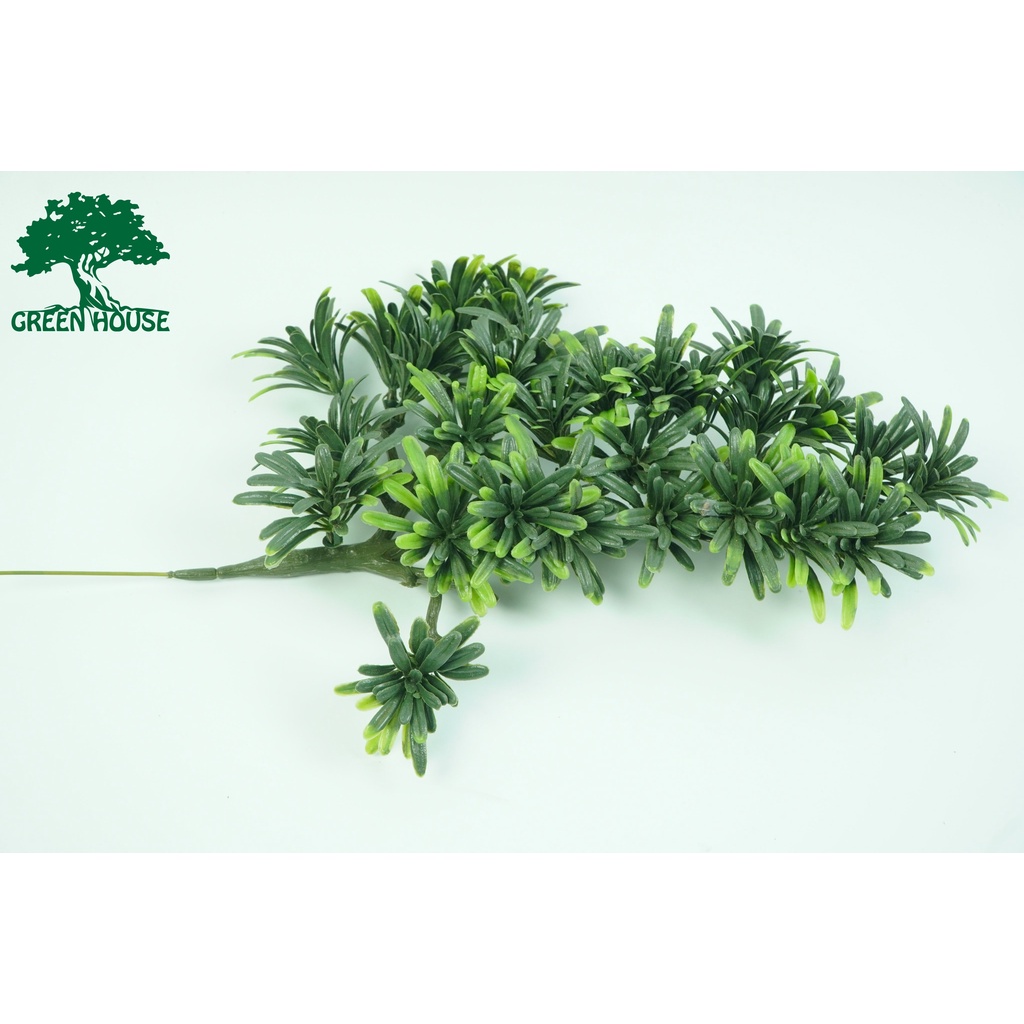 Cành nhựa -Lũa Bonsai, Lũa thủy sinh dùng trang trí hồ cá cảnh, hồ thủy sinh, văn phòng, nhà cửa- NHÀ XANH