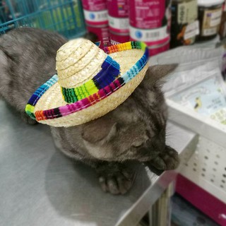 Nón Rơm Phong Cách Mexico Cho Thú Cưng