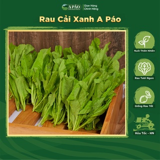 [HN] Cải Xanh Tươi Ngon 300gr - Thực Phẩm Tây Bắc - Cải Xanh A Páo Nông Sản