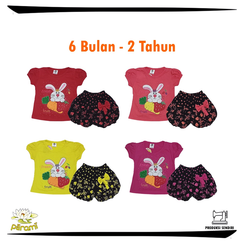 Bộ Đồ Thời Trang Cho Bé Gái 6 7 8 9 10 11 Tháng 1 2 Tuổi