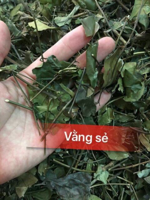 CHÈ VẰNG SẺ chuẩn _ lướt xem ảnh