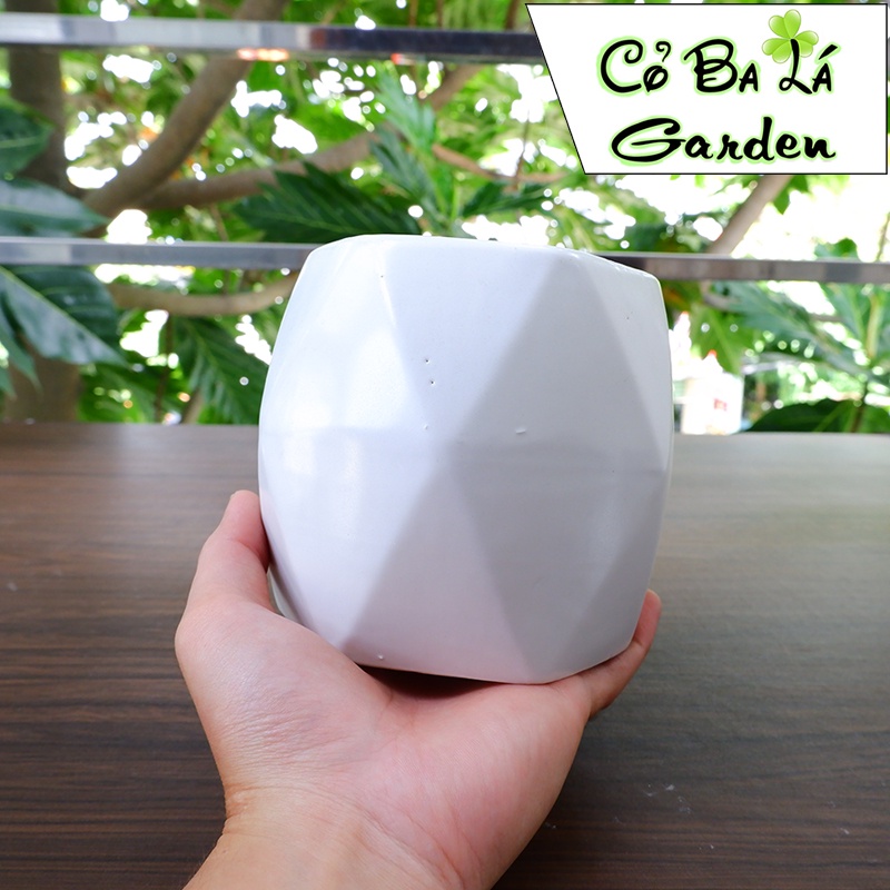 Chậu sứ để bàn hình quả trám  KT 11x11